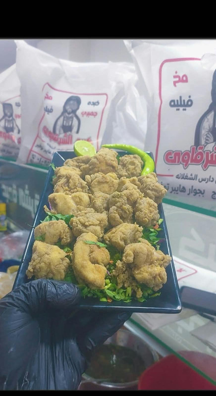 مخ//