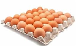 بيض احمر طازج