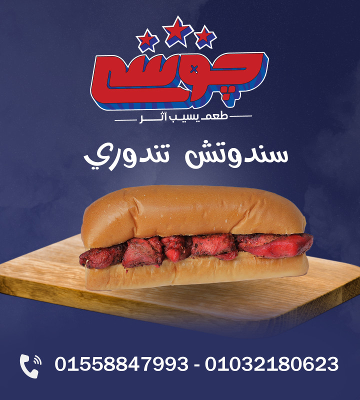 ساندوتش تندوري